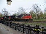 CN 8020